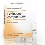 ECHINACEA COMPOSITUM S 10 FIALE 2,2 ML - GUNA SPA