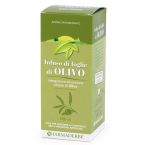 Olivo infuso foglie 500 ml