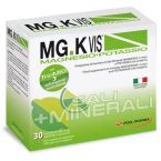 MGK VIS LEMONADE 30 BUSTINE - POOL PHARMA SRL