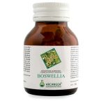 BOSWELLIA 60 CAPSULE - ARCANGEA SRL