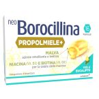 Neoborocillina propolmiele+ eu