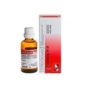 DR.RECKEWEG R19 GOCCE 22 ML 