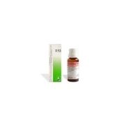 DR.RECKEWEG R53 GOCCE 22 ML