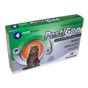 Pestigon*4pip gatti