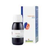 TARAXACUM DENS LEONIS TINTURA MADRE 60 ML