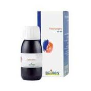 THUYA OCCIDENTALIS TINTURA MADRE 60 ML