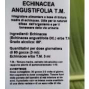 ECHINACEA ANGUSTIFOLIA TINTURA MADRE 100 ML - OTI SRL