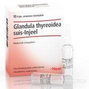 HEEL GLANDULA THYREOIDEA SUIS INJEEL 10 FIALE DA 1,1 ml