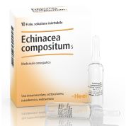 ECHINACEA COMPOSITUM S 10 FIALE 2,2 ML - GUNA SPA