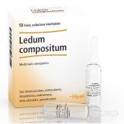 HEEL LEDUM COMPOSITUM 10 FIALE DA 2,2ML