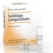 SOLIDAGO COMPOSITUM 10 FIALE 2,2 ML - GUNA SPA