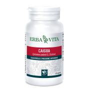 Erba vita GROUP SPA Caigua 60 capsule