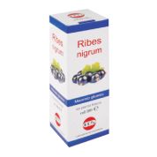 Ribes nigrum mg 100 ml gocce