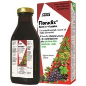 Floradix 250 ml