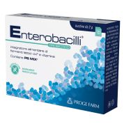 Enterobacilli 10 bustine