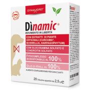 Dinamic 20 bustine 2,5 g