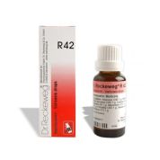 DR.RECKEWEG R42 GOCCE 22 ML