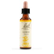 Gorse bach orig 20 ml