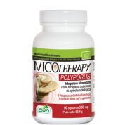 MICOTHERAPY POLYPORUS 90 CAPSULE - A.V.D.REFORM SRL