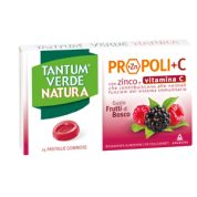 TV NATURA PASTIGLIE FRUT BOSCO