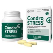 Condrostress + 60cpr mastic