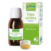 Fagus sylvatica mg 60ml int