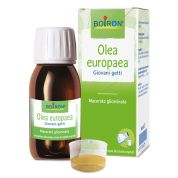 Olea europaea mg 60ml int