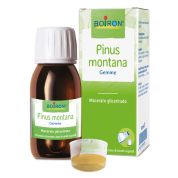 Pinus montana mg 60ml int