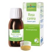 Rosa canina mg 60ml int