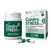 Condrostress + cat 30cps