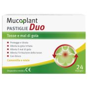 Dr theiss muco 24past duo camo