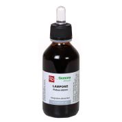 Lampone macerato glicerinato bio 100 ml