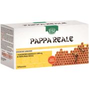 Esi pappa reale 10fl