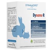 Dynamo r 20 bustine da 2 g