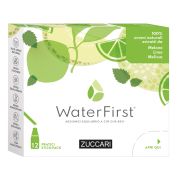 Water first melone-lime-melissa 12 stick pack