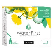 Water first cetriolo-cedro-tarassaco 12 stick pack