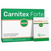 Carnitex forte 14 bustine