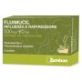 FluimuciL INFLUENZA E RAFFREDDORE 8 BUSTINE 500/60MG