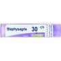 Staphysagria*30ch 80gr 4g