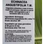 ECHINACEA ANGUSTIFOLIA TINTURA MADRE 100 ML - OTI SRL