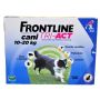 FRONTLINE TRI ACT 6 PIPETTE 2 ML CANI 10 - 20 KG