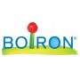 boiron srl china rubra 9ch gr