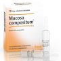 MUCOSA COMP 10 FIALE DA 2,2ML HEEL GUNA