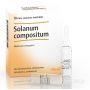 HEEL SOLANUM COMPOSITUM 10 FIALE DA 2,2ML