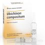 UBICHINON COMP COMPOSITUM 10 FIALE DA 2,2ML HEEL