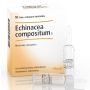 ECHINACEA COMPOSITUM S 10 FIALE 2,2 ML - GUNA SPA