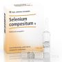 SELENIUM COMPOSITUM 10 FIALE HEEL DA 2,2 ML