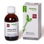 Eucalipto macerato glicerico 50 ml