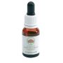 AUSTRALIAN  BUSH FLOWER ESSENCES Angelsword 15  ml