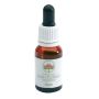 AUSTRALIAN  BUSH FLOWER ESSENCES Boab 15 ml